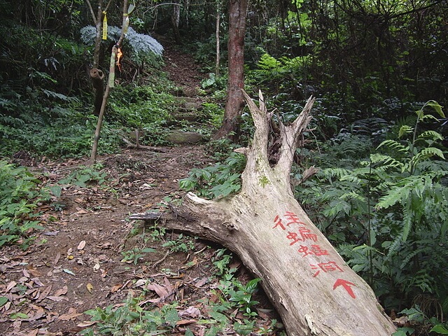 油羅山