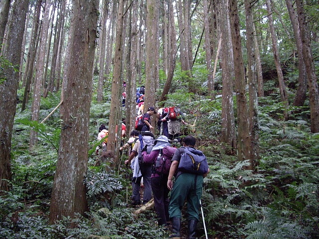 油羅山