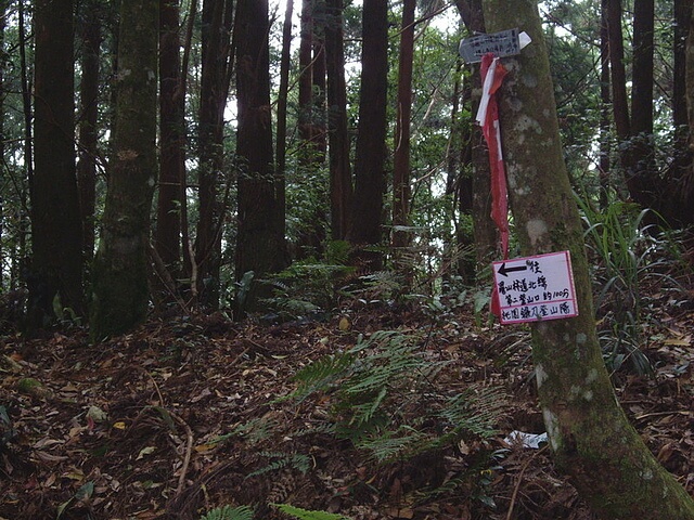 油羅山