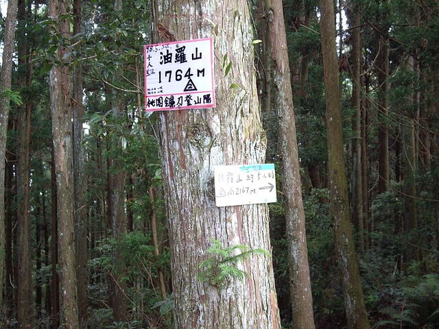 油羅山