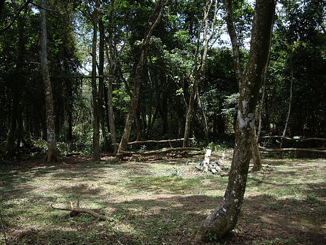 百吉古道、大溪坪山、懷德山、二層坪山