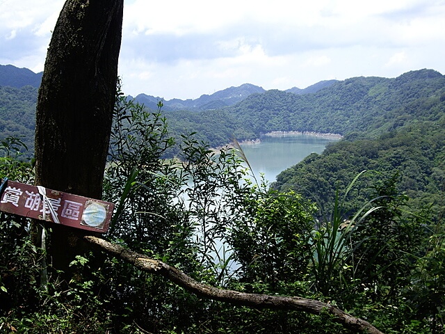 【桃園大溪】百吉古道、大溪坪山、懷德山、二層坪山