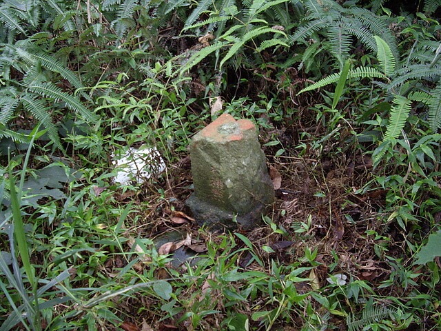 二層坪山總督府圖根補點