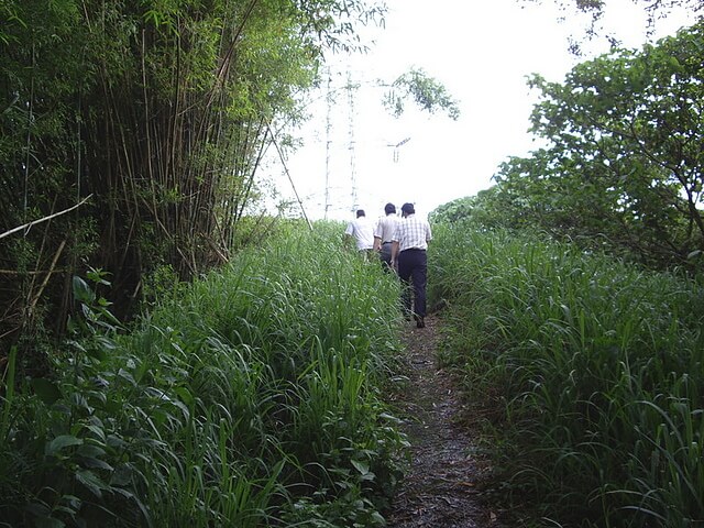 釣魚山林步道