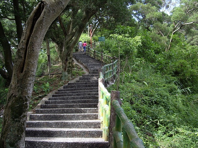 竹東森林公園登山步道