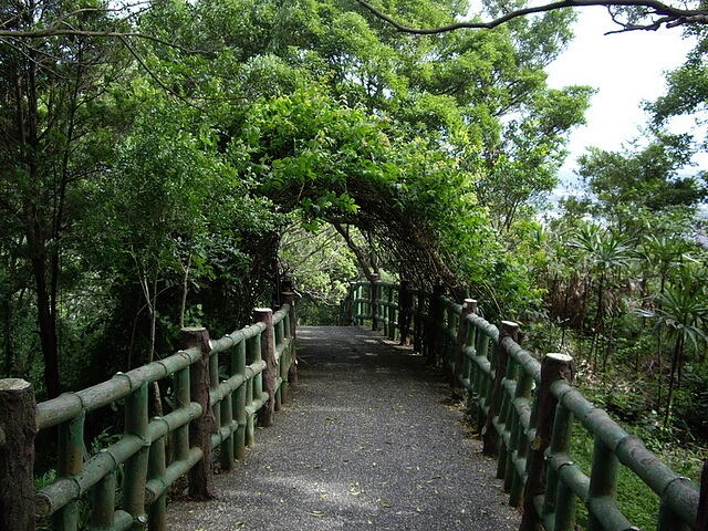 竹東森林公園登山步道