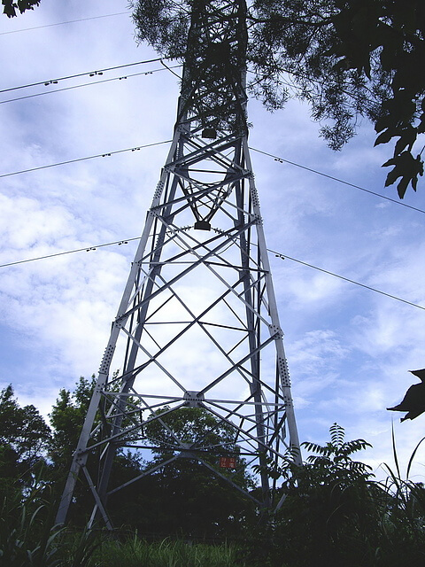樹杞林山登山口 高壓電塔