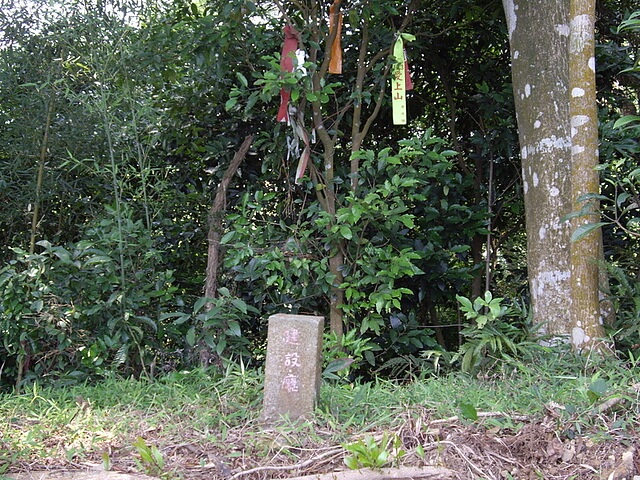 獅尾山、獅山古道、六寮古道、獅頭山(峨眉線)