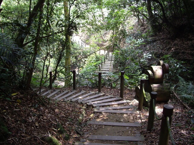 七星神木木棧道 六寮古道