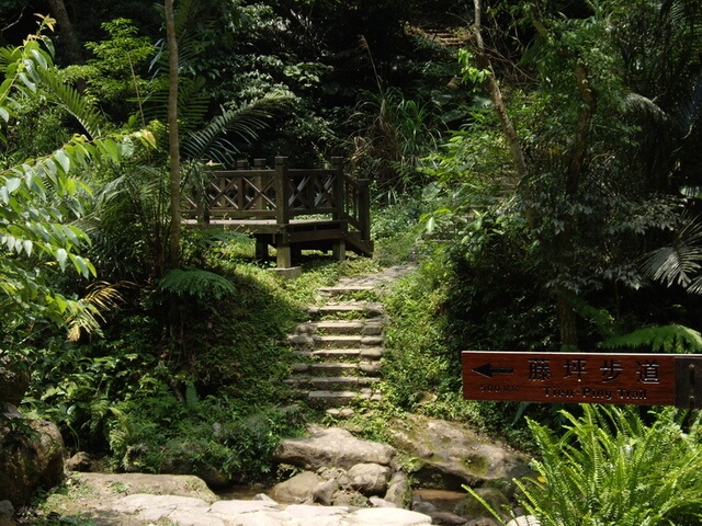 萬佛庵步道 獅尾山、獅山古道、六寮古道、獅頭山(峨眉線)