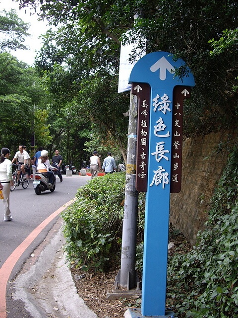 十八尖山 綠色長廊 柏油路車道