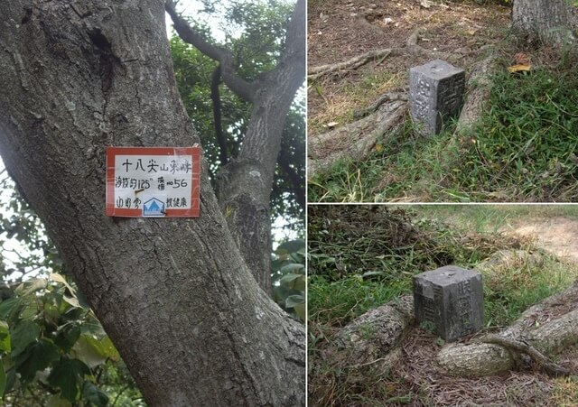 十八尖山東峰陸補三角點No.56