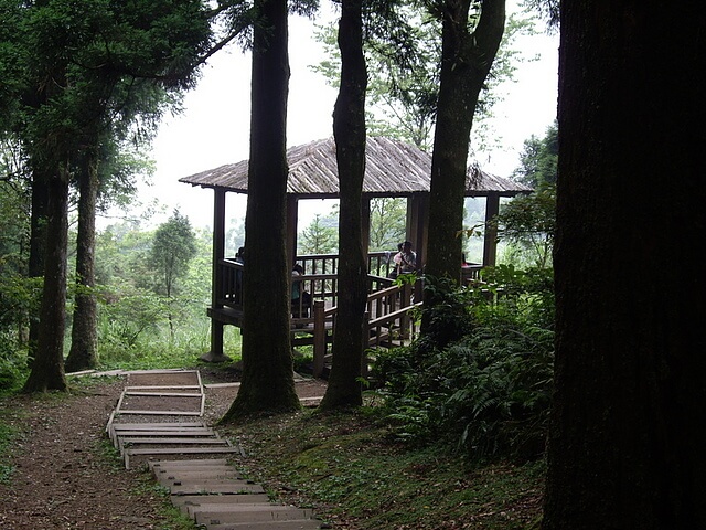 東眼山自導式步道左線旁涼亭