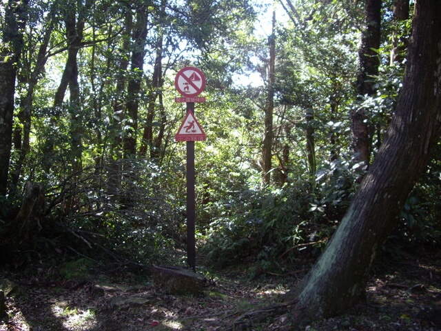 志繼山、東眼山