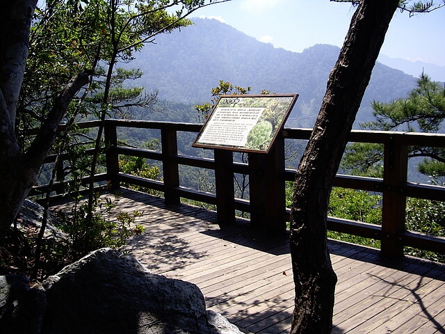 鳶嘴山 觀景平台