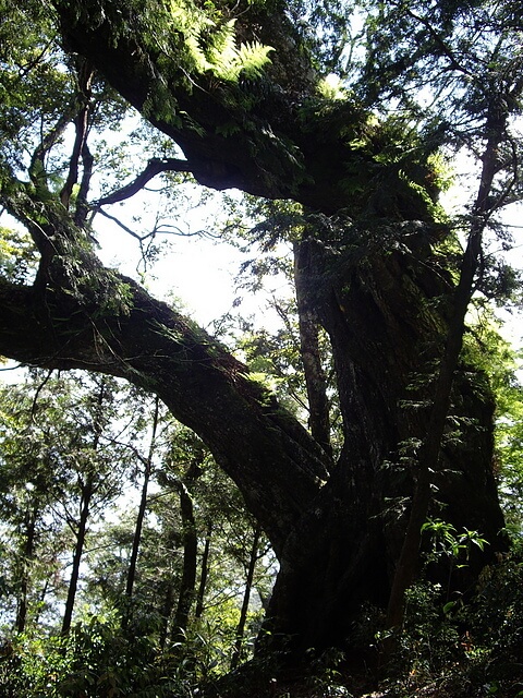 鳶嘴山、稍來山、稍來山南峰