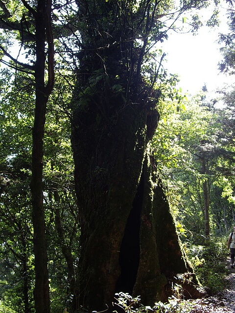 鳶嘴山、稍來山、稍來山南峰