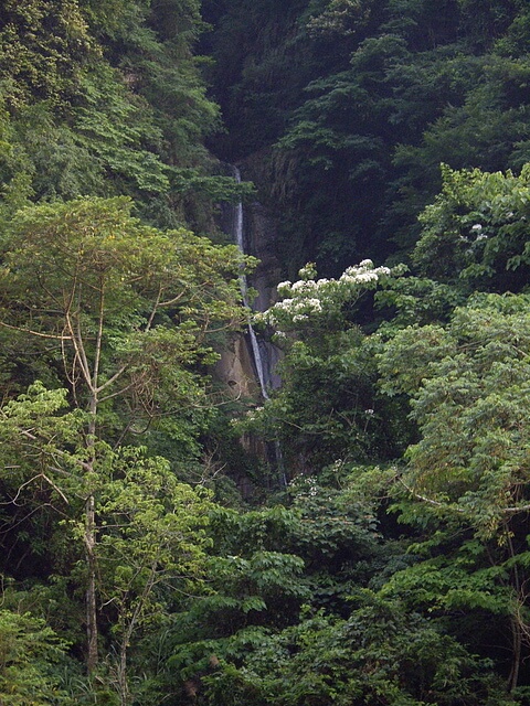 虎山 瀑布