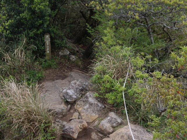 加里山步道3K