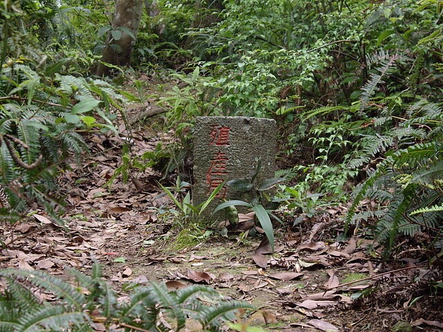 石厝坑山殖產局圖根三角補點