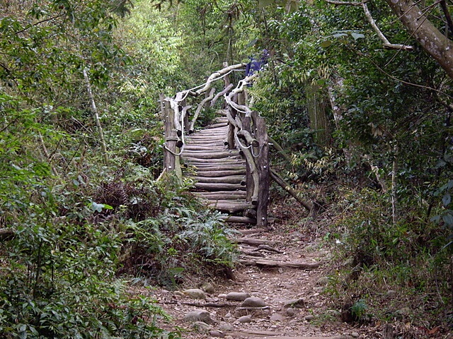 頭嵙山、二嵙山 圓木步道