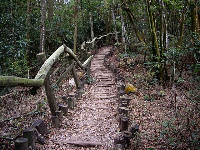 頭嵙山、二嵙山 圓木步道