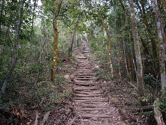 頭嵙山、二嵙山 圓木步道