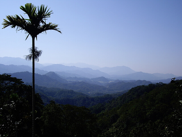 【新竹關西】打牛崎古道、眺望崠、老虎山、石人崠