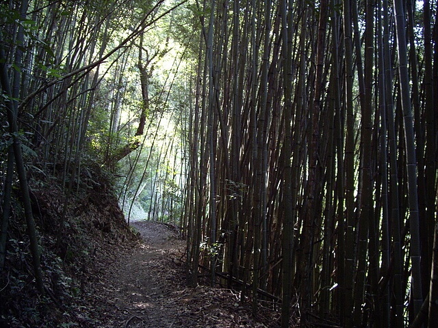 霞喀羅古道(養老段)