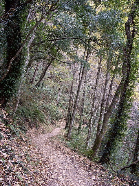 霞喀羅古道(養老段)