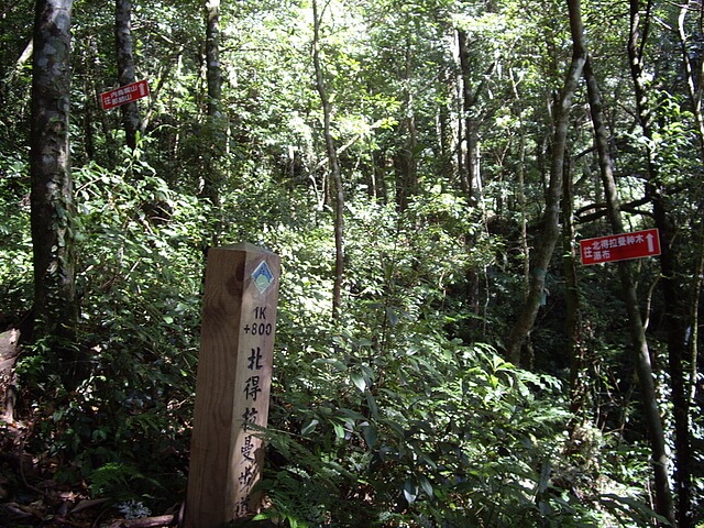 北得拉曼步道 1.8K木樁處