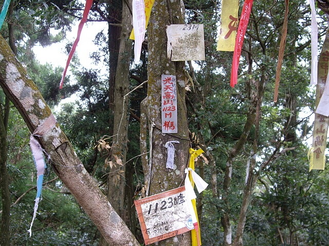 光天高山