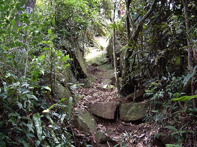 光天高山 陡上岩壁