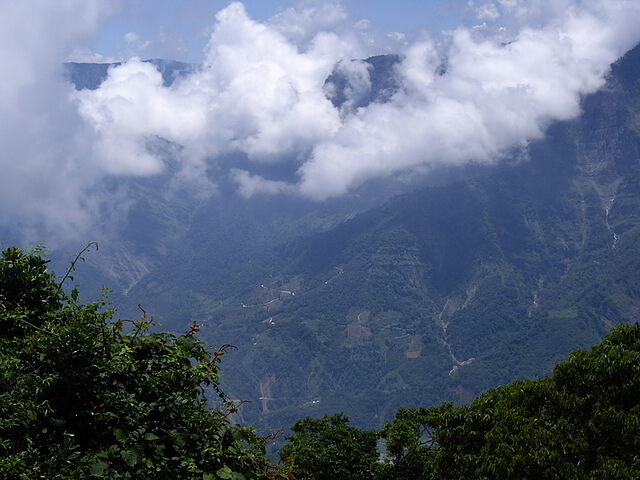 【嘉義阿里山】大凍山 (多林檢查站路線)