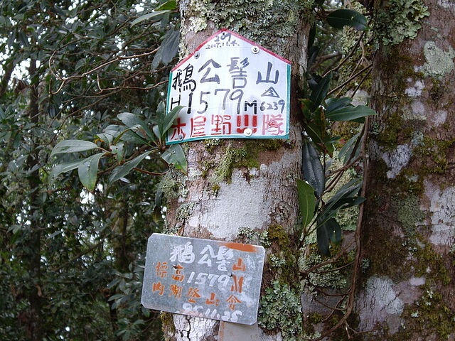 鵝公髻山 (山上人家路線)