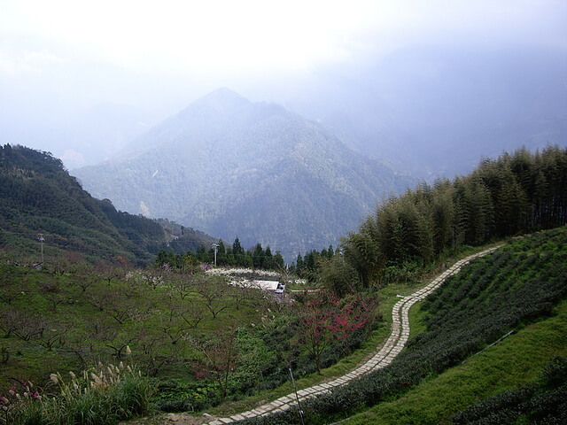 山上人家遠眺群山