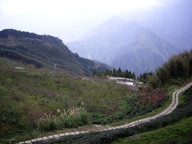 山上人家遠眺群山